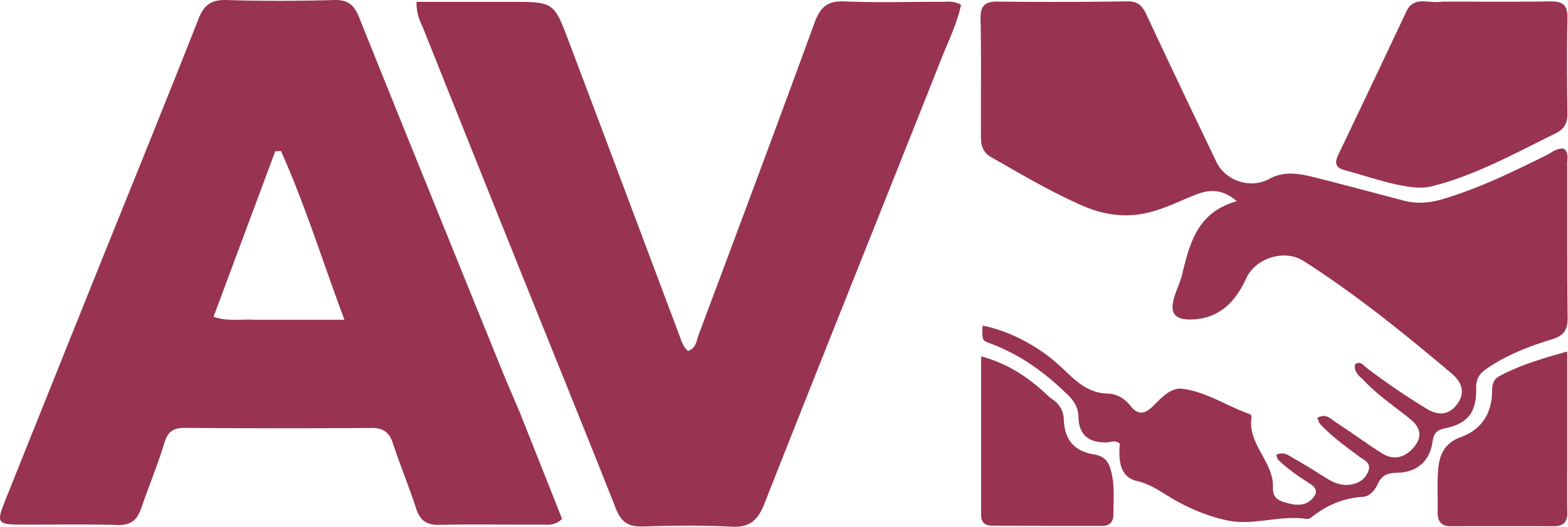 AVM Logo